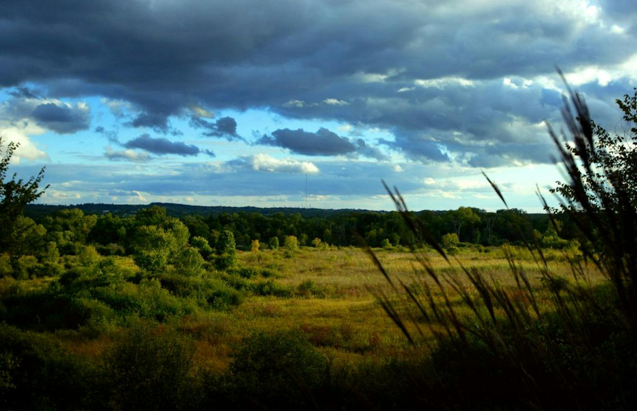 Seminary Fen in Chanhassen