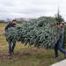 Happy Land Tree Farms field and shipping manager Tony Bacon, right, and crew member Baden Hilty carried a 13-year-old Fraser fir Christmas tree bound 