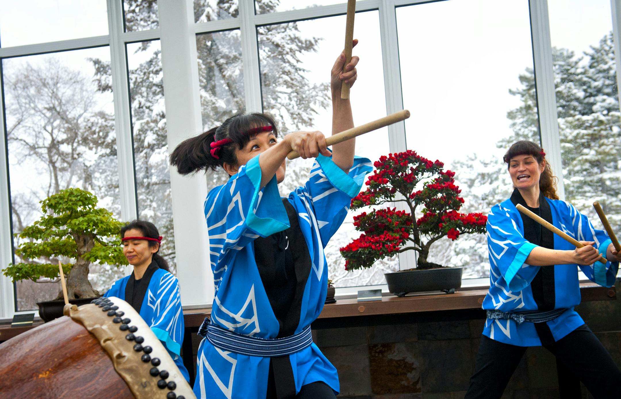 The Japanese drumming group Mu Daiko performed at the grand opening of the The Ordway Gardens, a 2.8 million dollar building and landscape addition which includes 2,267 square feet of glass-enclosed interpretative exhibit and display space, and a 2,850 square foot outdoor terrace. The new wing enables the Conservatory's nationally-acclaimed Bonsai collection to be exhibited year-round. Both the pavilion and terrace provides year-round views into the Japanese Garden. Friday, April 19, 2013 ] GLEN