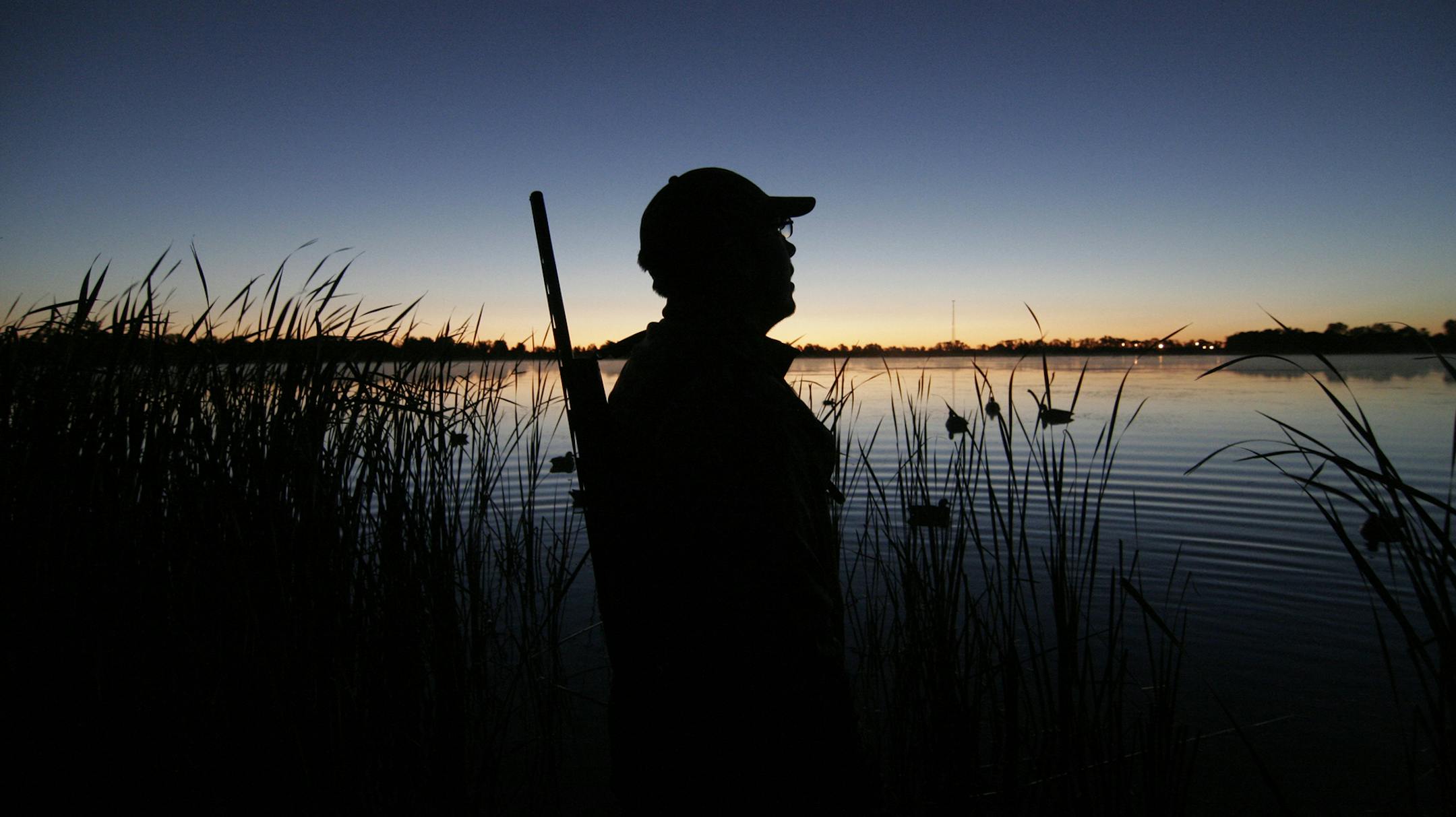 More duck hunters went afield in 2013 than the year before, continuing a a recent trend. We won't know how hunters did this season until surveys are tallied next year. ORG XMIT: MIN1308011625425523