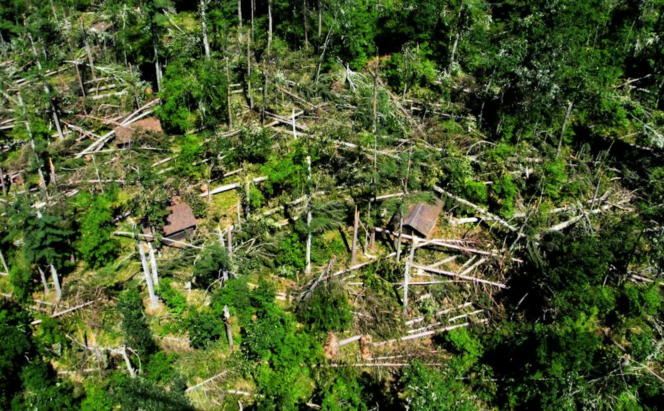 The damage from the storm that swept St. Croix State Park on July 1 was jagged and widespread.