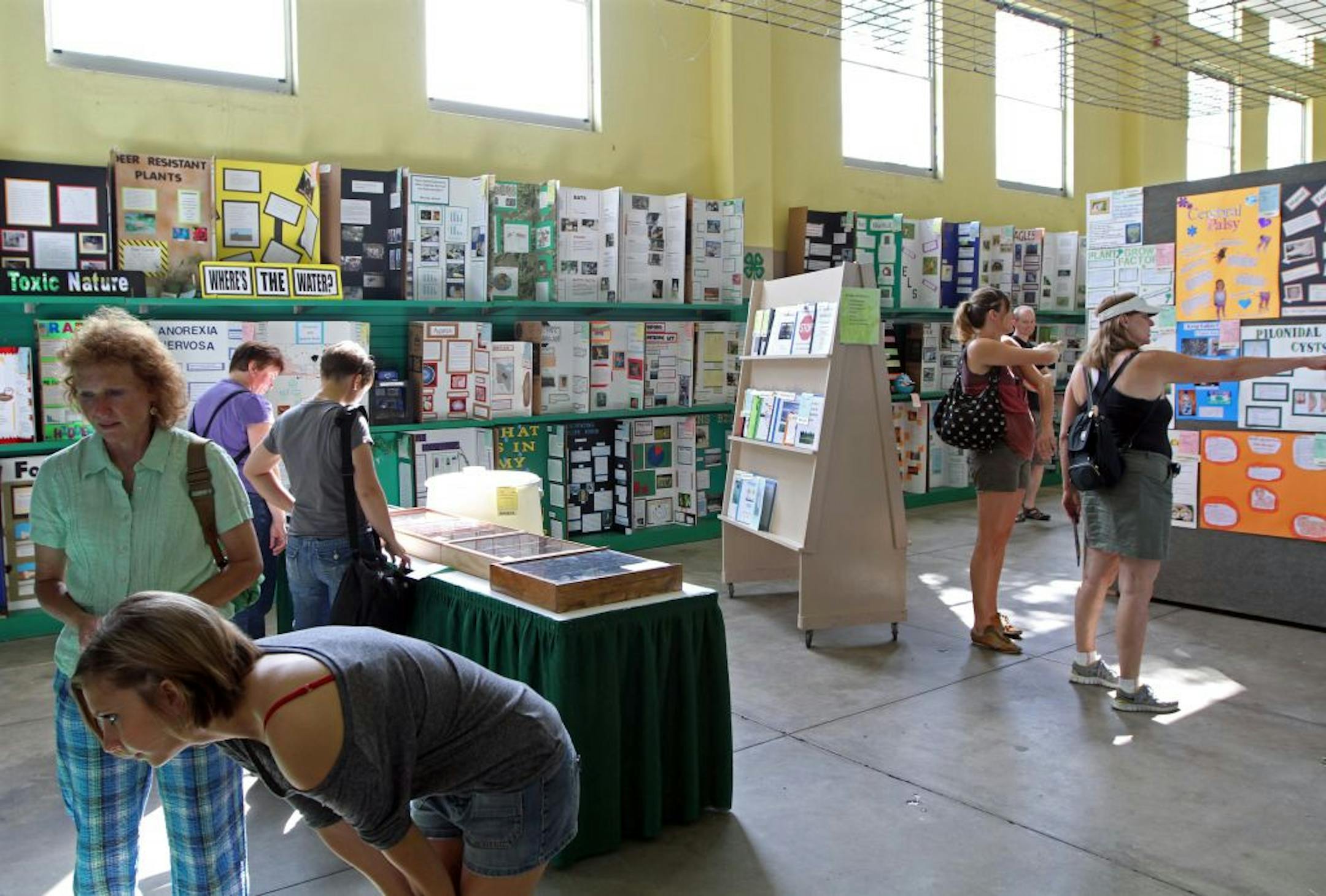 Minnesota State Fairgoers looked at hundreds of dioramas at the 4-H Building. Kids in 4-H do more than raise animals. They also do science projects that depict facets of their life, from the poignant (a disease or a barn burning down) to silly or just plain fun.