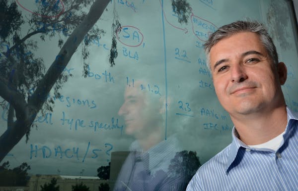 Dr. Marcelo Wood, associate professor and director of Interdepartmental Neuroscience Program, stands next to the window of his second story office at 