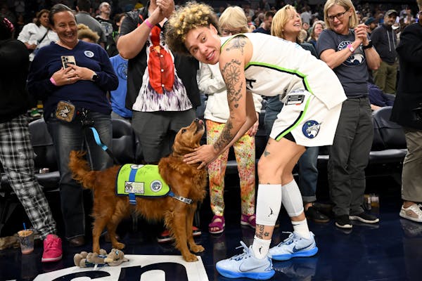Lynx guard Natisha Hiedeman loves up a service dog after the team's victory over Dallas on Monday at Target Center. Hiedeman scored 17 points off the 