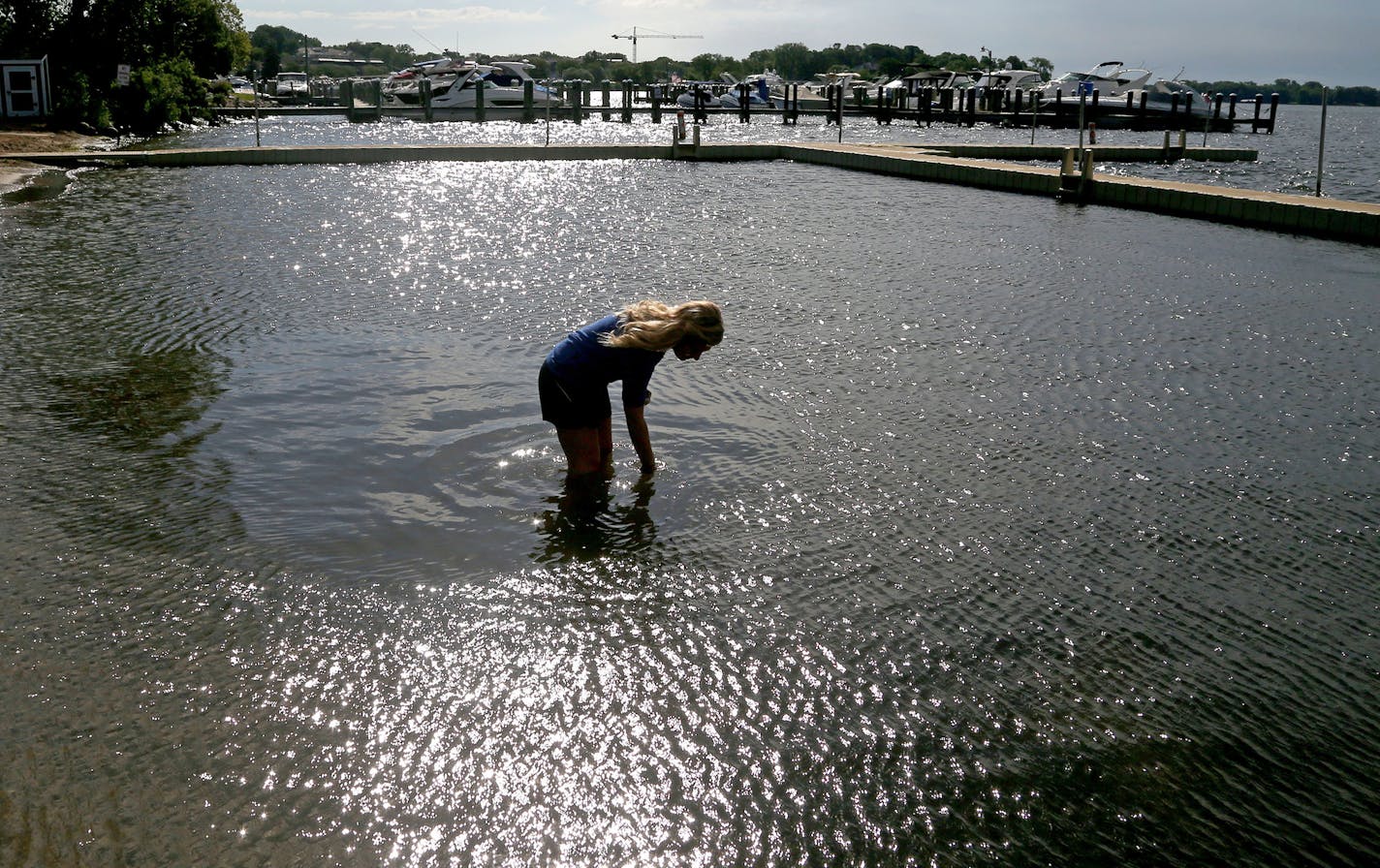 Hannah Young, a community health worker for Hennepin County, demonstrates how water samples are collected at Wayzata Beach Wednesday, July 13, 2016, in Wayzata, MN.](DAVID JOLES/STARTRIBUNE)djoles@startribune Going to the beach is supposed to be fun and relaxing; and it usually is. But waterborne illnesses, such as E. coli, can quickly turn summer into a bummer. To ensure our lakes are safe, Hennepin County&#xcc;s Public Health Department samples and analyzes water at 31 public swimming beaches