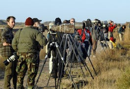 Digital photography has changed the equipment many birders take with them.	Jim Williams • Special to the Star Tribune
