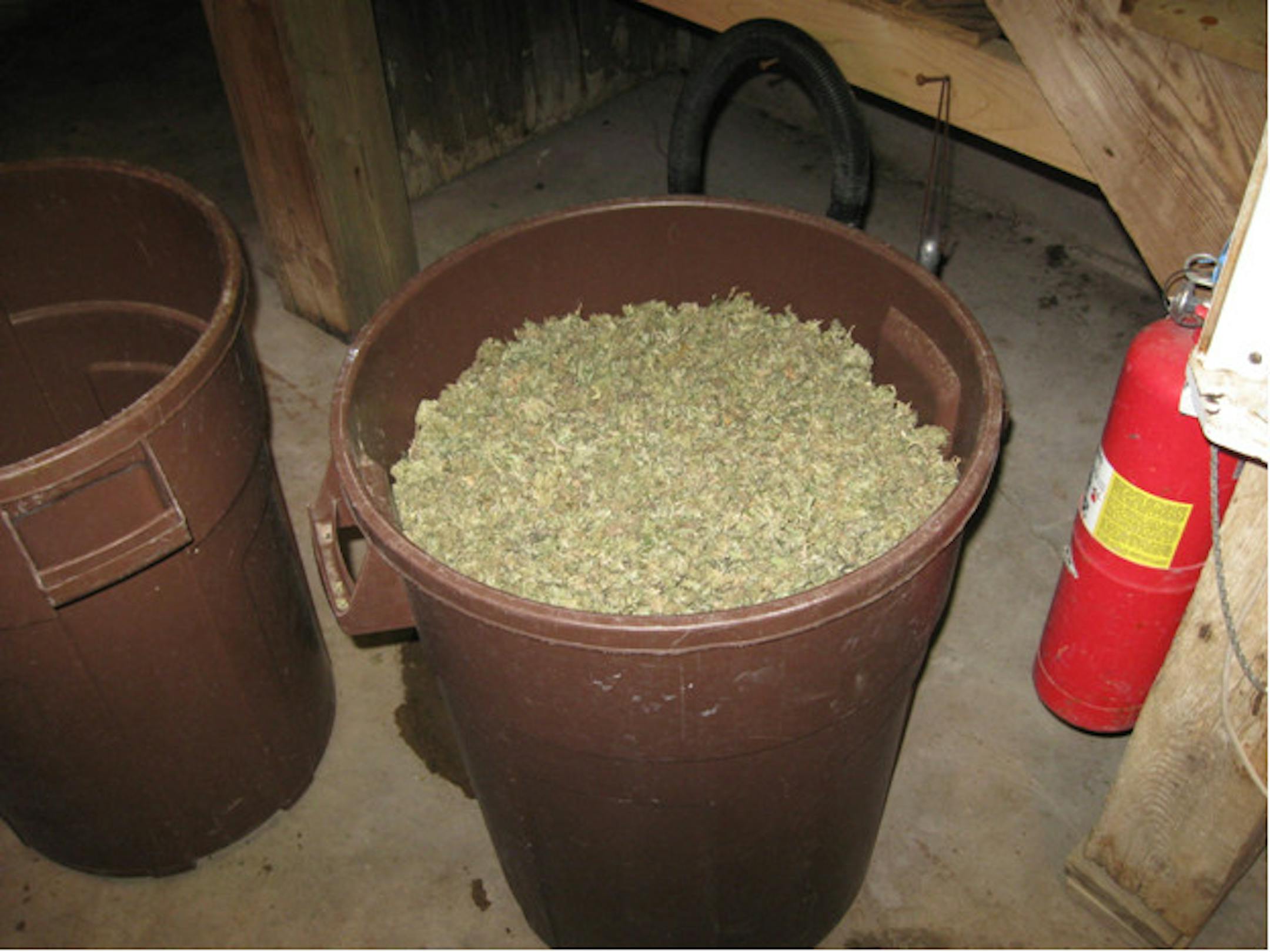 During the execution of the search warrant, approximately 56 pounds of marijuana was seized.
