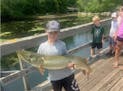 Liam Cowan, 11, of Minneapolis caught this 49-inch muskie off Lake Harriet’s south dock. Cowan, who fishes Lake Harriet regularly, used a live sucke