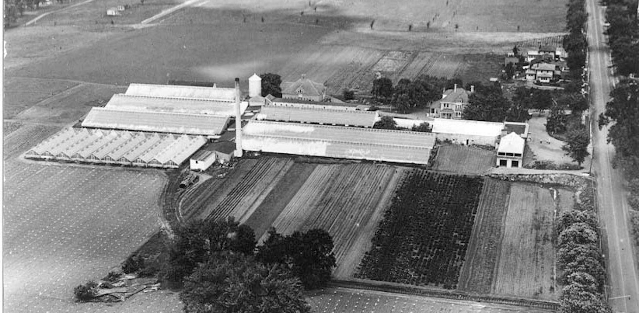 Bachman's on Lyndale, Circa 1929.