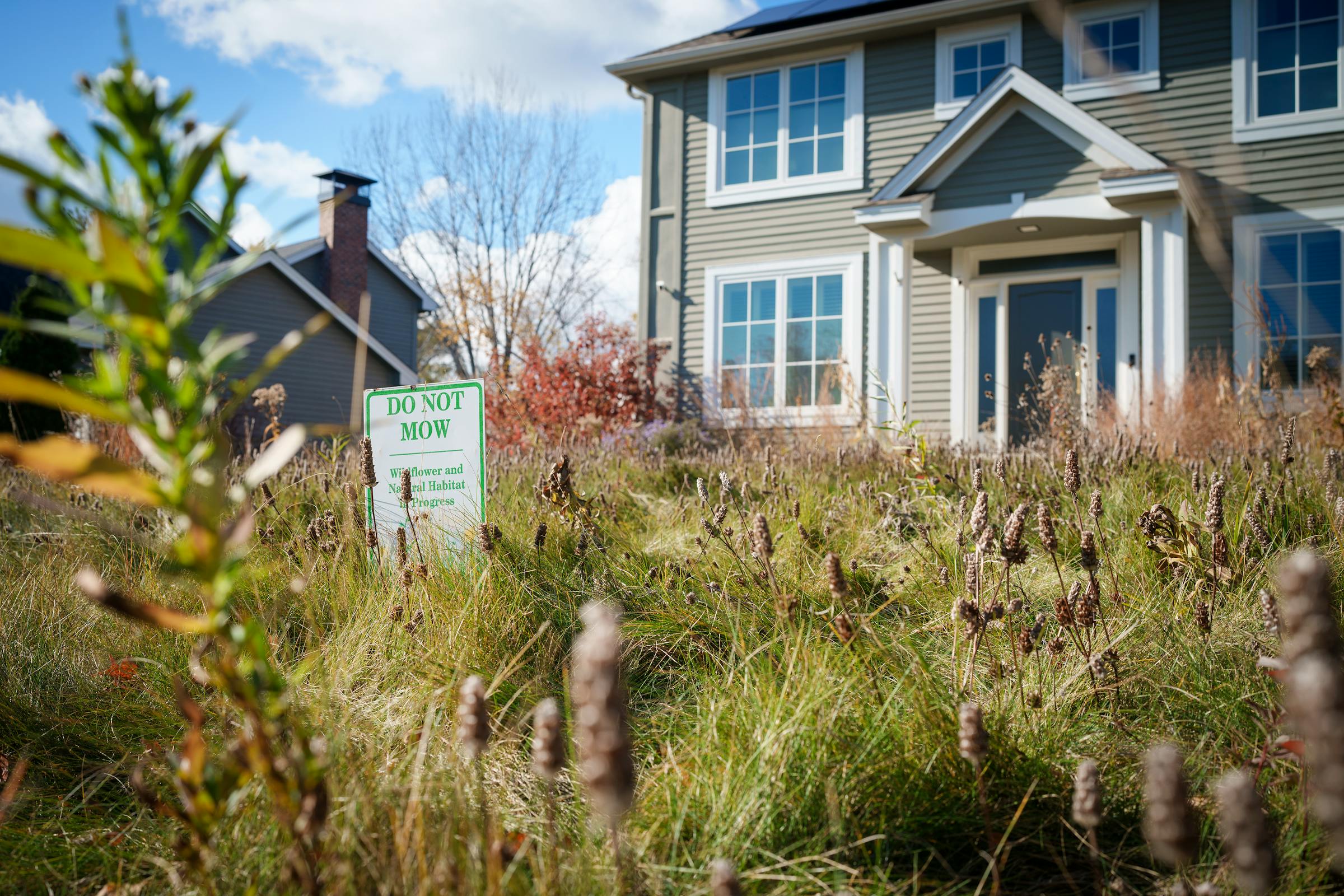 A lawsuit blooms in Plymouth as homeowner battles HOA over her naturally planted yard