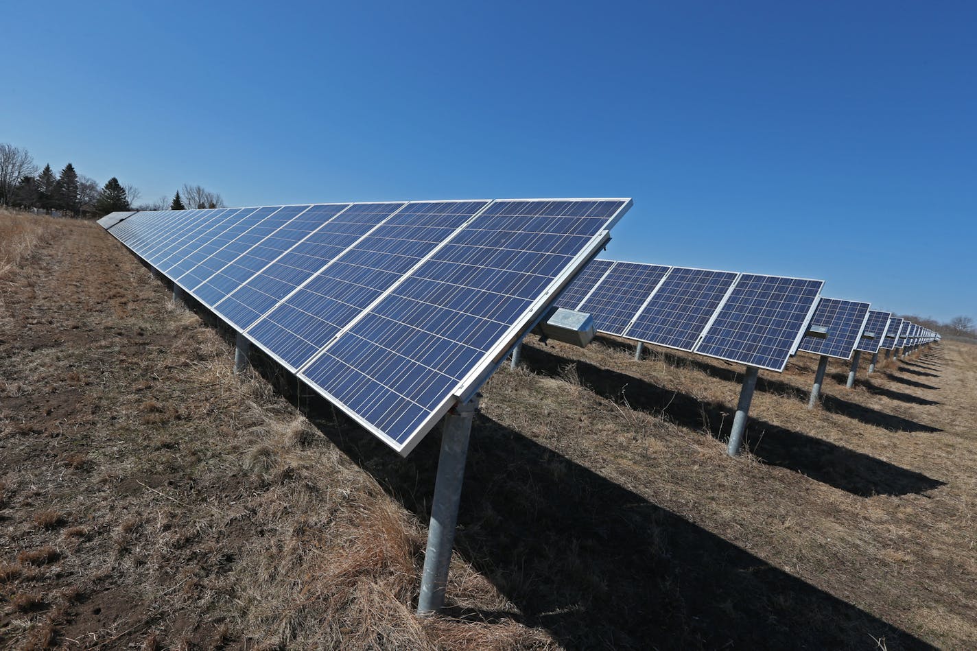 Geronimo Energy installed solar panels at St. John's University. (Bruce Bisping/Star Tribune)