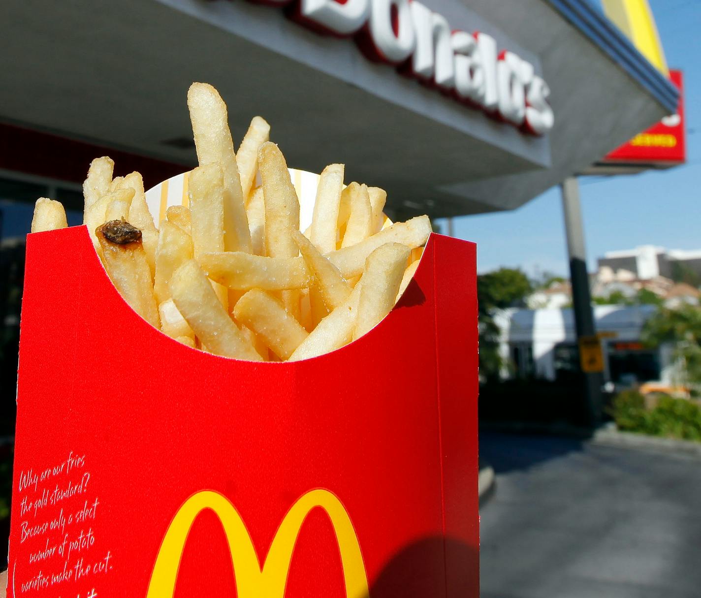 A relatable guilty pleasure: McDonald's fries. (AP file Photo/Richard Vogel)