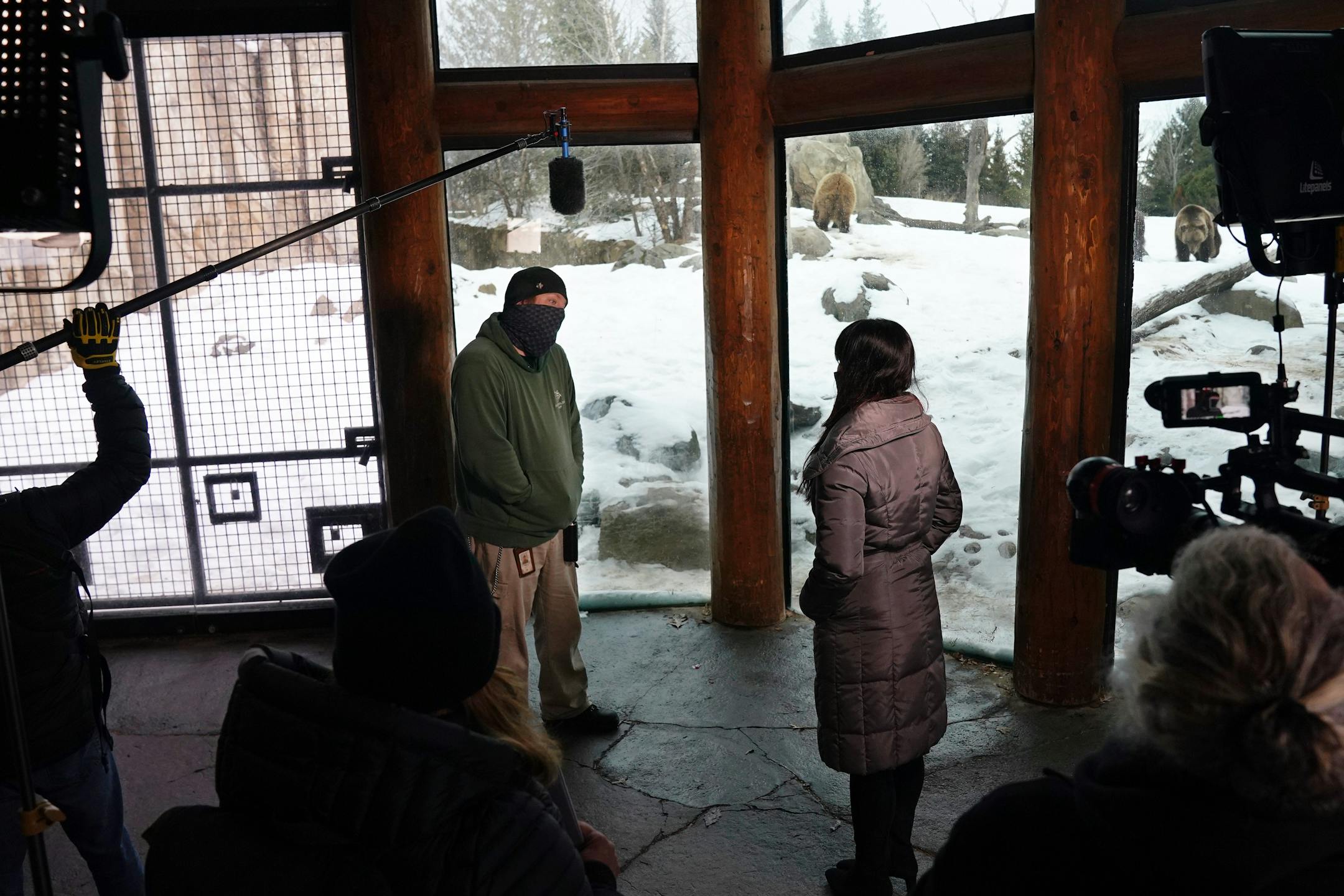 Sarah Hicks pre-recorded segments with the brown bears and their keepers at the Minnesota Zoo for the Minnesota Orchestra's Young People Concert in February
