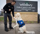 Detective Adam Sack and his canine partner Otis, a therapy dog, spent time together at the Public Safety Building in Woodbury on Nov. 10. The Woodbury