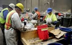 As waste sorters, who are contracted by the county, sift through trash to check the contents during a week-long study at the Hennepin Energy Recovery 