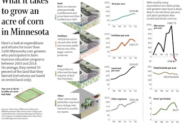 Growing an acre of corn