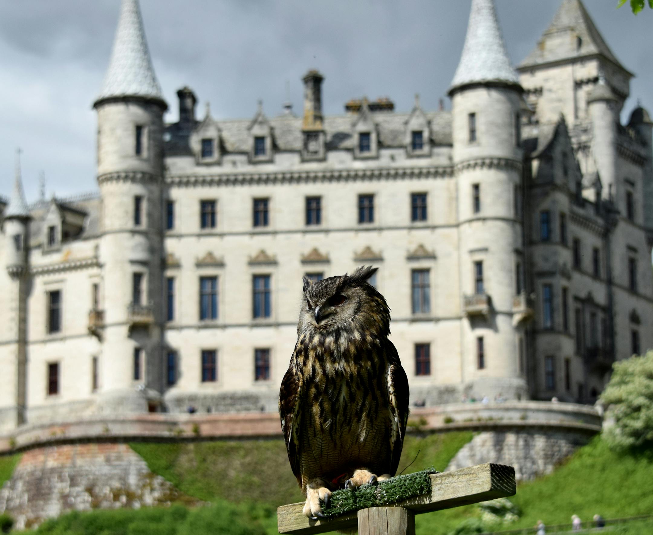 THE SCENE: After docking at the quaint town of Invergordon, Scotland, our journey took us to the stunning Dunrobin Castle. The castle is perched high on a terrace overlooking acres of lovely gardens and the north sea. Built by William, Earl of Sutherland in the 1300ís, it was originally a military fortress with walls 6 feet thick. In the gardens there was a highly entertaining hawking demonstration including the magnificent owl. This was definitely one of the highlights of our cruise. WHY T
