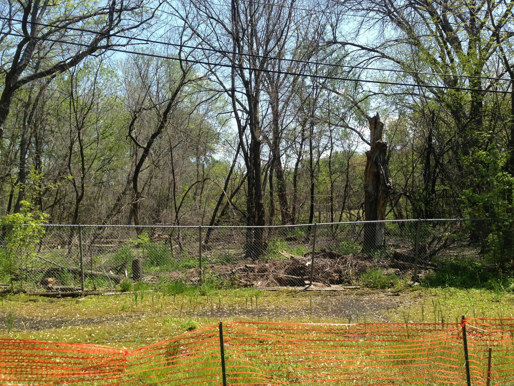 Teresa Miller's yard beside Solomon Park in 2016, as the area became inundated with water.