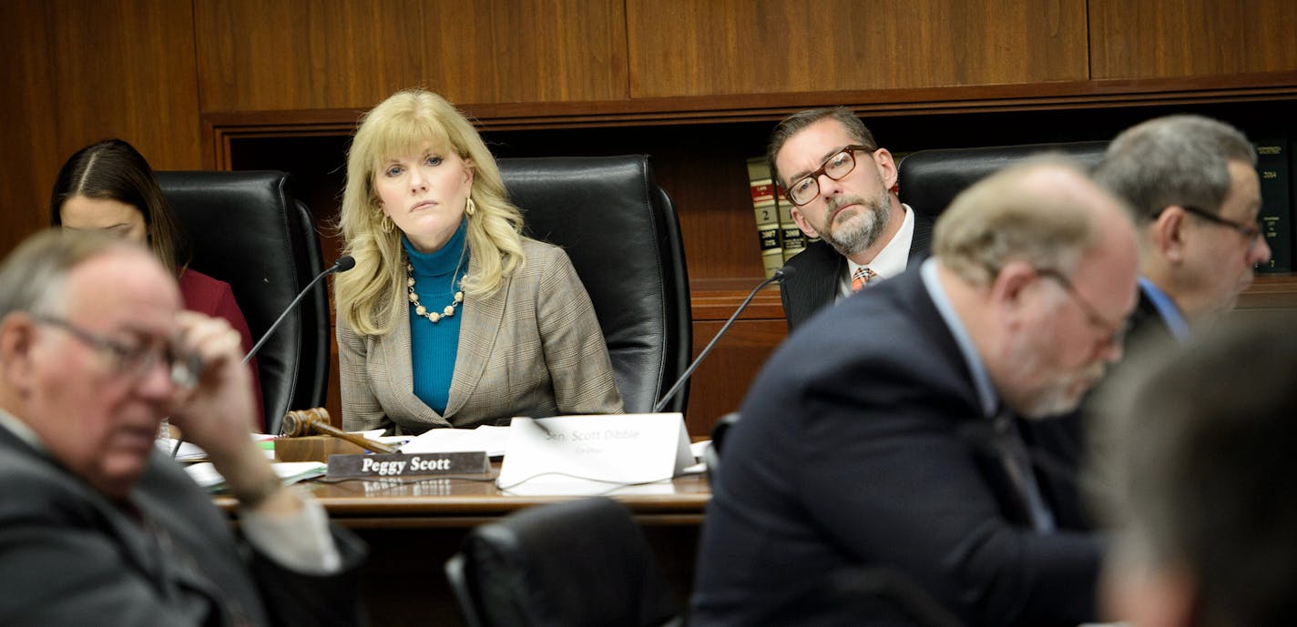 Working group chairs Prep Peggy Scott and Senator Scott Dibble listened to testimony on the issue. ] GLEN STUBBE * gstubbe@startribune.com Thursday, January 7, 2015 Even without approval from leadership, a legislative panel is working through possible solutions to the state's pressing Real ID problems. With crippling federal restrictions looming for Minnesota air travelers, state officials are racing to come up with a solution they could pass in a special session or first thing in the regular se