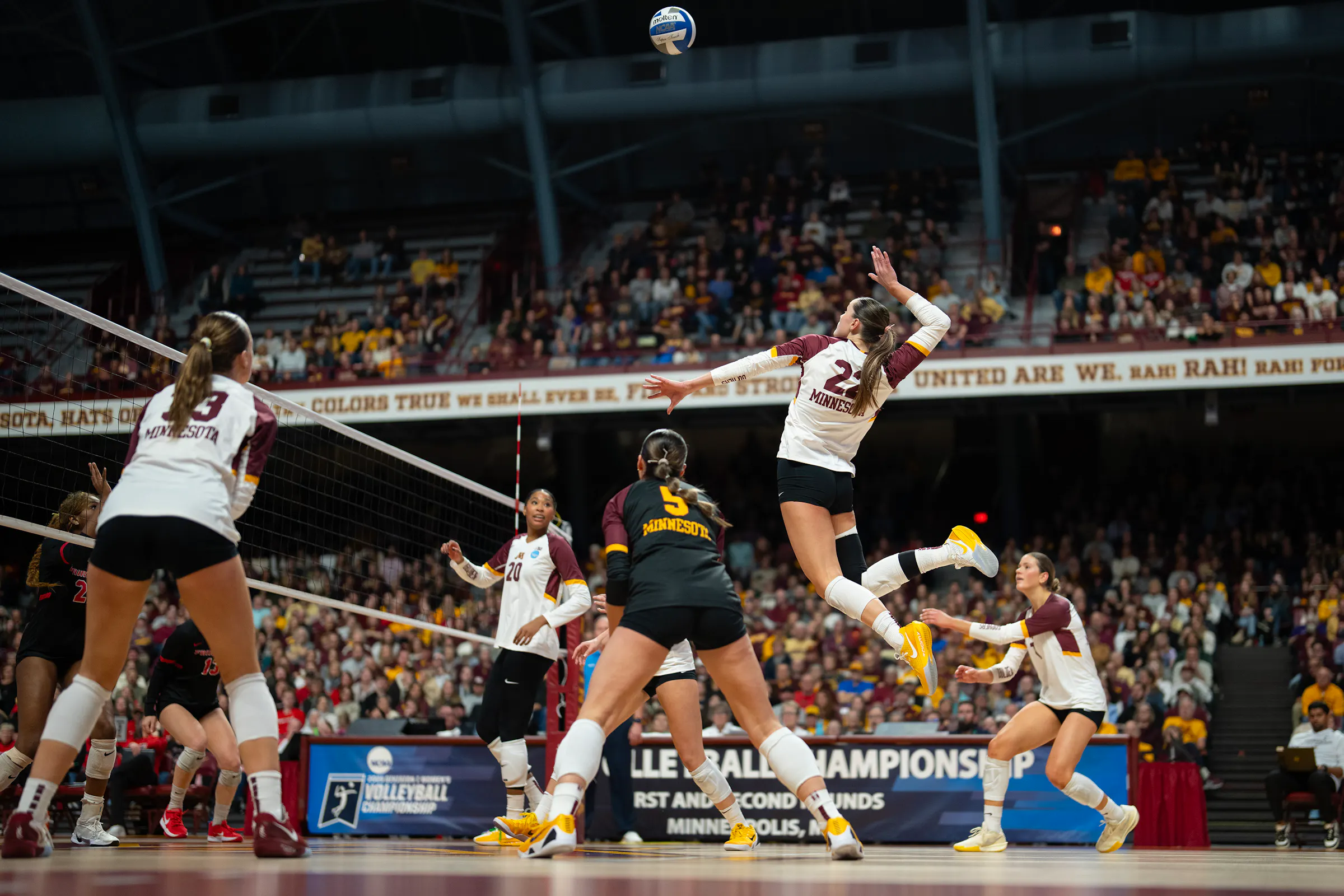 Minnesota Gophers volleyball vs Purdue: NCAA tournament stakes on line