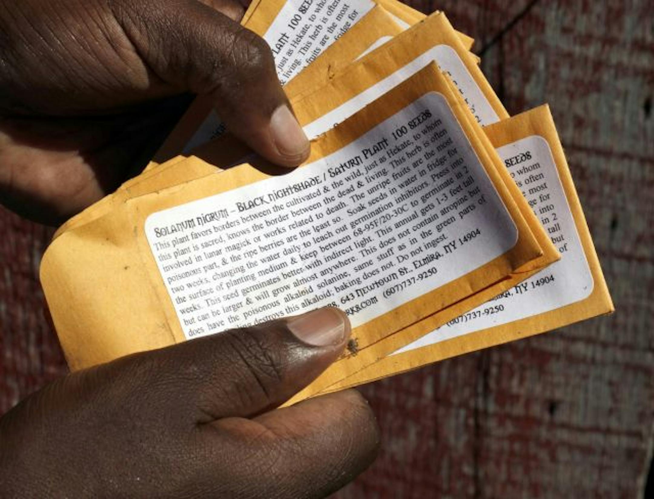 Farmer Albert Nyamari — Kenyans know him by the name Kastone — holds empty packets of chinsaga seeds ("Black Night Shade" in English). He has cultivated his own seeds for next year's planting.