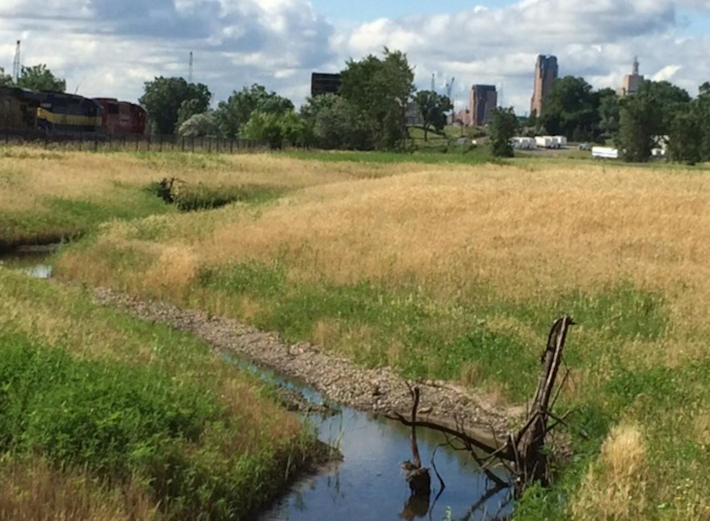 Recreated stream bed for Trout Brook at the Trout Brook Nature Sanctuary, St. Paul