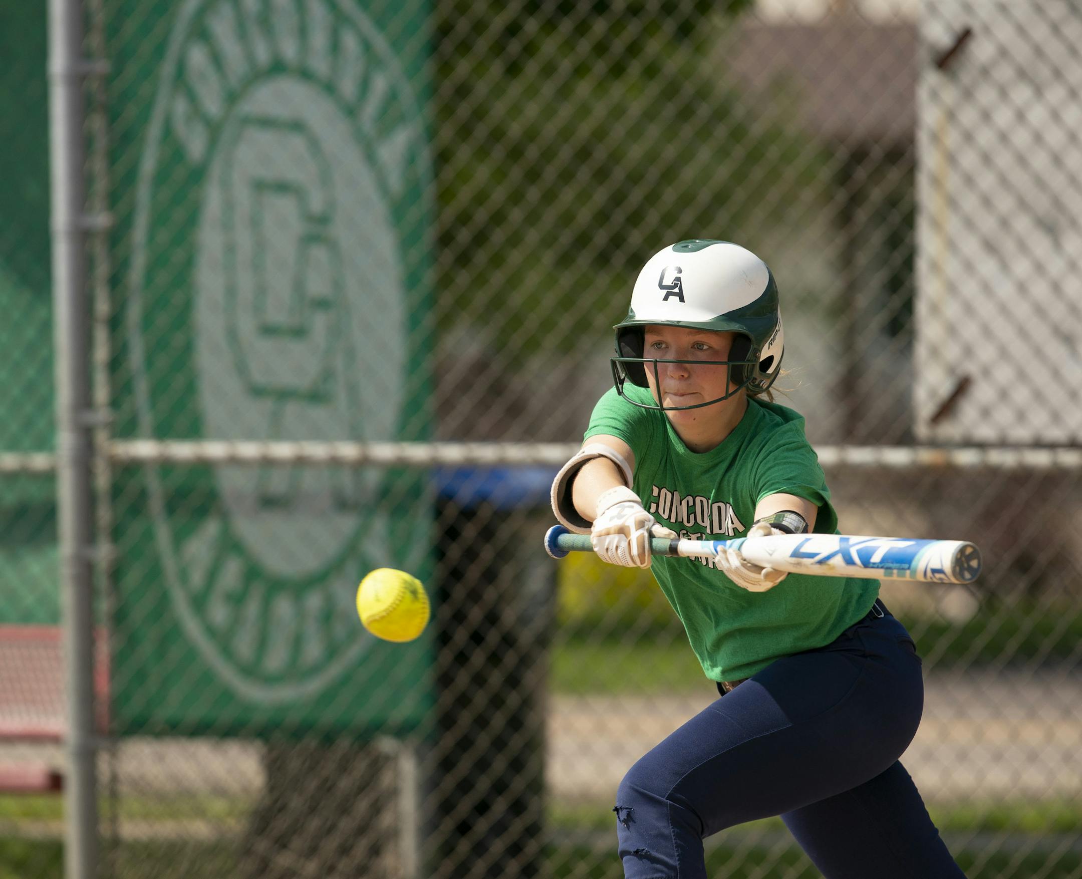 Concordia Academy's Taylor Brunn, batting at practice Monday afternoon, set a state career record for hits this season. Photo: JEFF WHEELER • jeff.wheeler@startribune.com